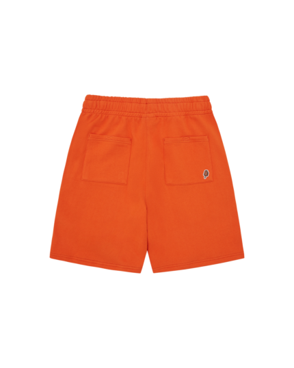 BBC Ice Cream Collegiate Puppy Shorts Orange