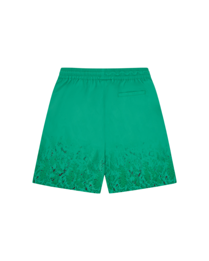 BBC Ice Cream Gradient Snakeskin Running Dog Swim Shorts Green