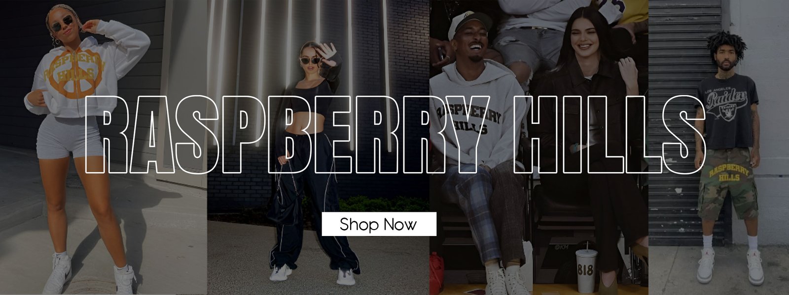 raspberry-hills-BANNER