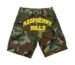 GV Gallery Shorts